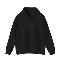 USA 250 Commemorative Silhouette Hoodie | 1776–2026, vintage distressed patriotic